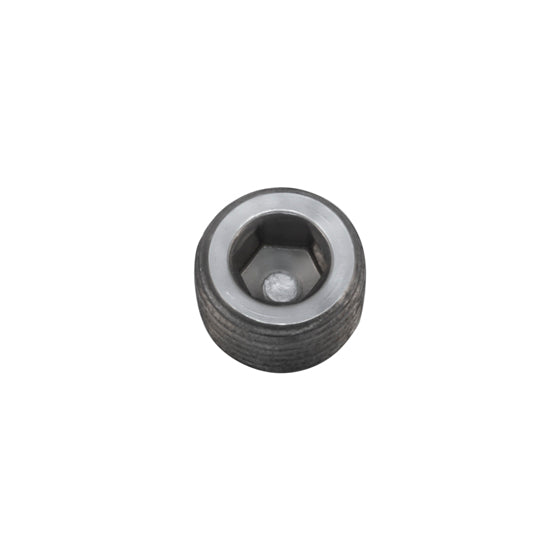 USA Standard Transfer Case Steel Socket Head Drain & Fill Plug