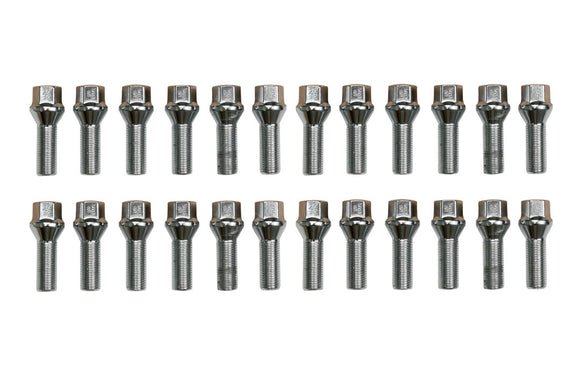 SPRINTER LUG BOLT KIT, SILVER