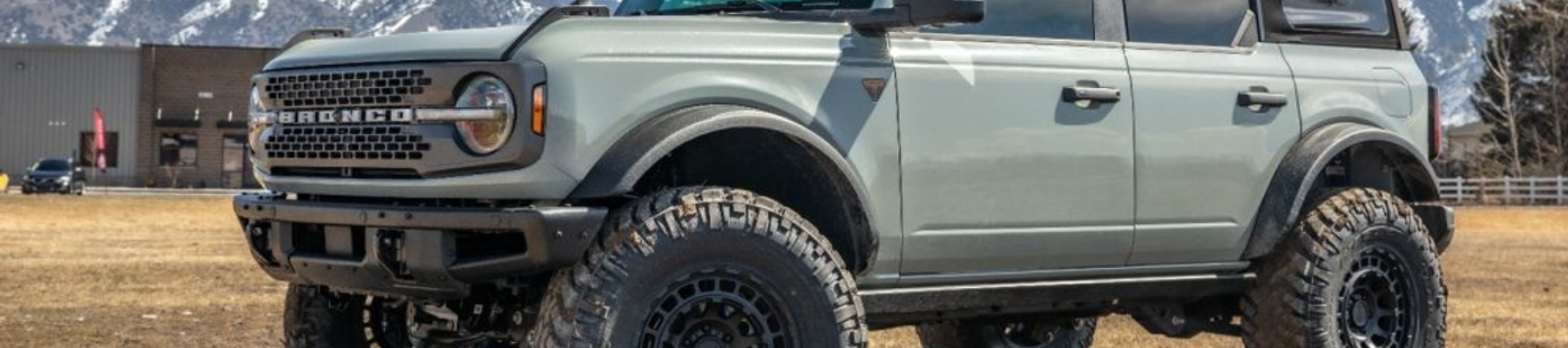 Ford Bronco Driveshafts